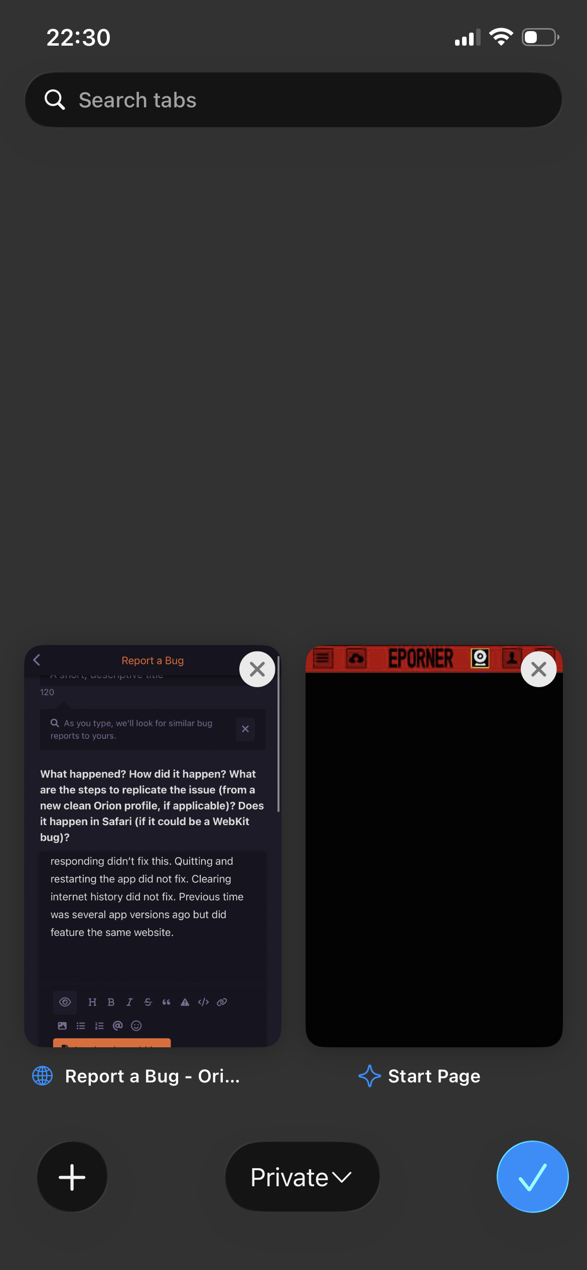 Incognito mode thumbnail used as default - Orion Public Issue Tracker